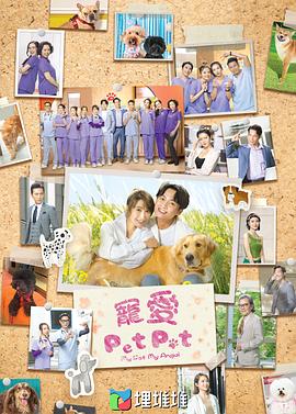 谮PetPet