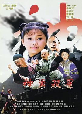 ˫